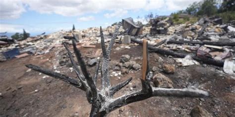 Survivors of Maui fires face power cuts and poor cell service as teams work to find and ID the dead